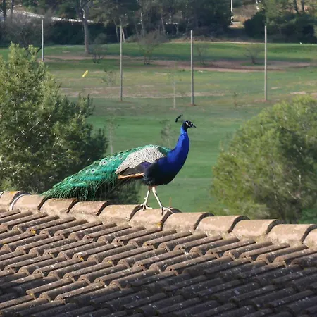 La Calma  De Vegara Menorca Apartamento Son Parc